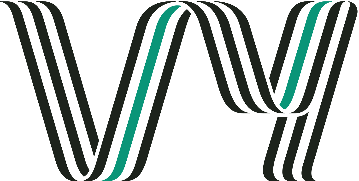 Vy Logo